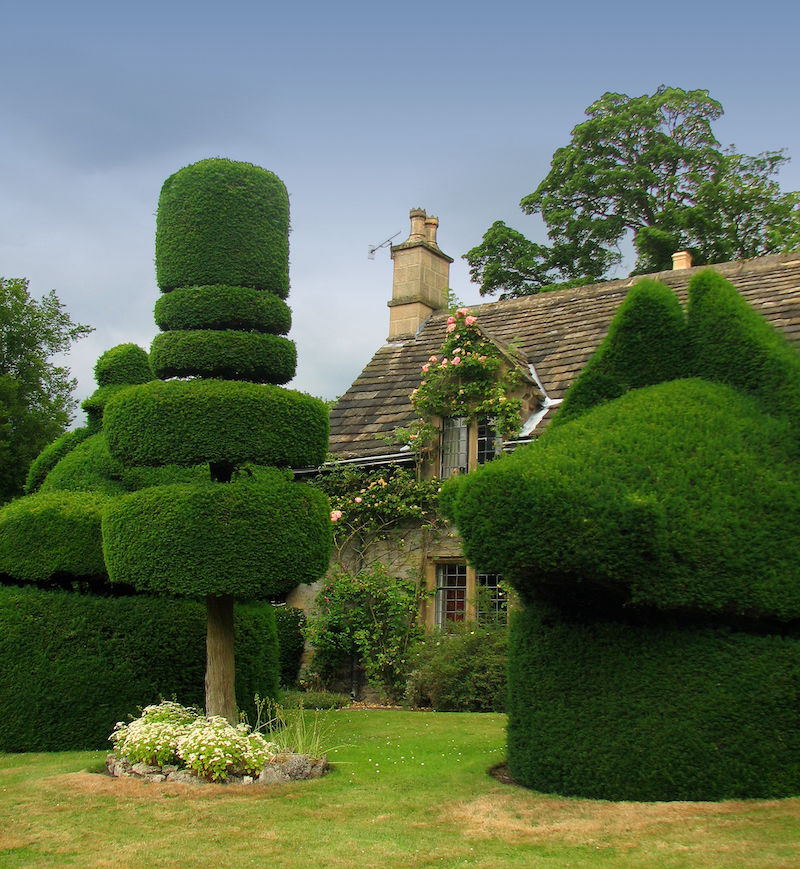 House with topiary